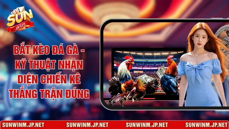 Bắt Kèo Đá Gà - Kỹ Thuật Nhận Diện Chiến Kê Thắng Trận Đúng