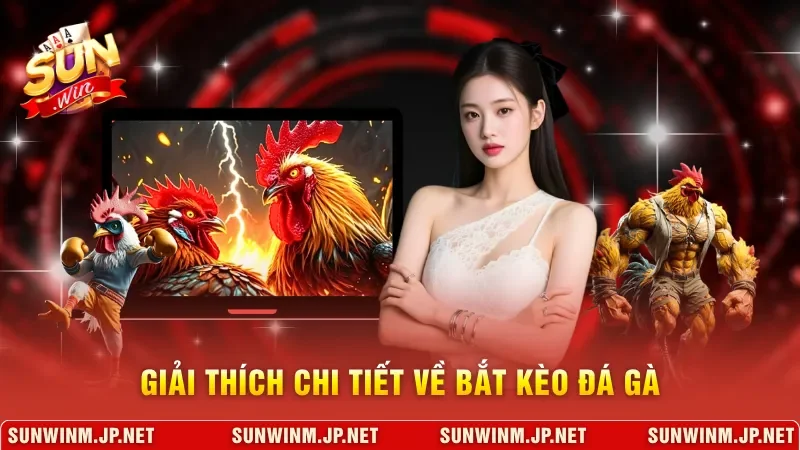 Giải thích chi tiết về bắt kèo đá gà