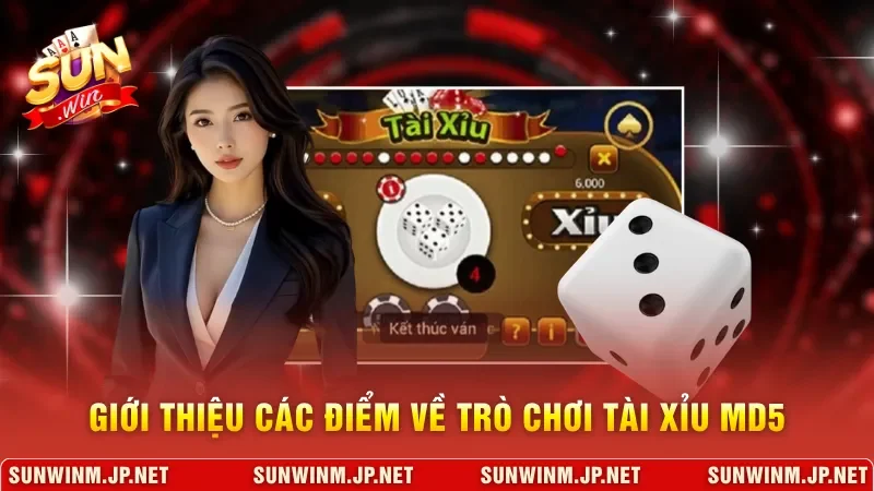 Giới thiệu các điểm về trò chơi tài xỉu MD5
