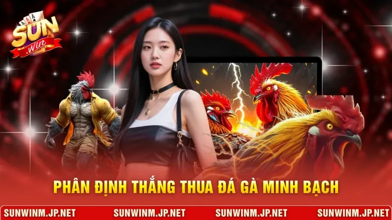 Phân định thắng thua đá gà minh bạch