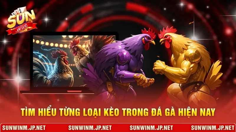 Tìm hiểu từng loại kèo trong đá gà hiện nay